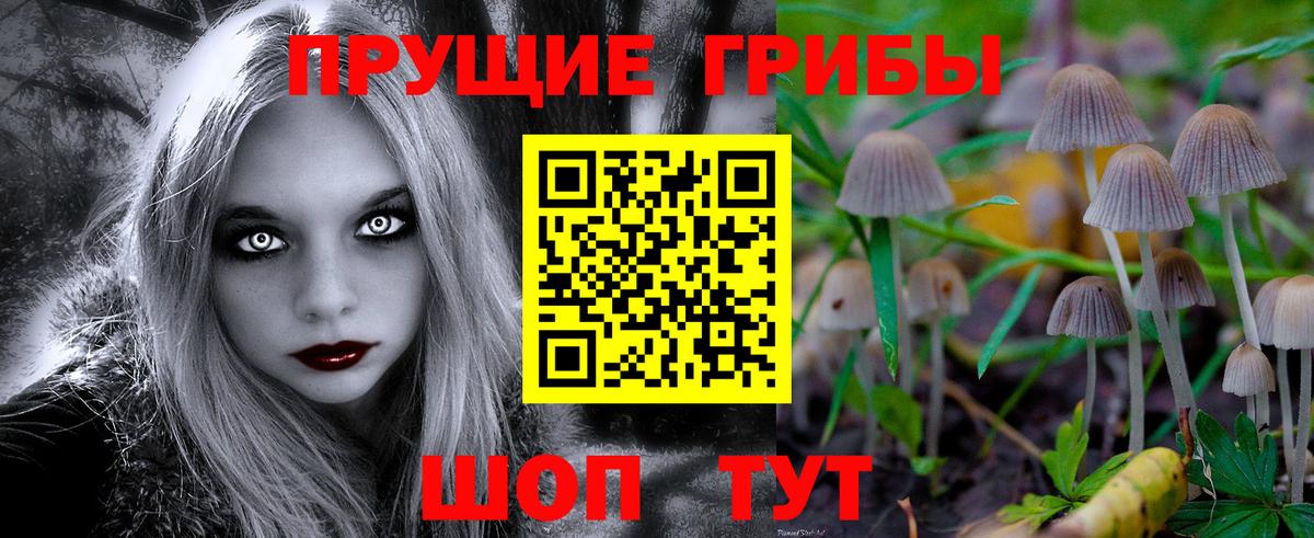 Псилоцибиновые грибы прущие грибы  Вход с VPN  Ступино  дарнет шоп  Галлюциногенные грибы мицелий 